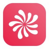花火交易所app下载(花火交易所官网下载)