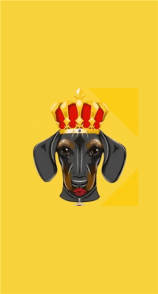dog queen币下载